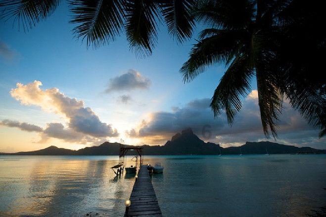 牛油果面包