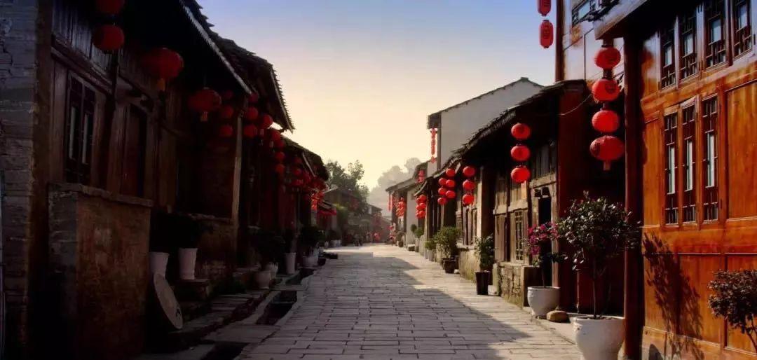 探索想了解益生菌是干嘛用的?,开启知识星球之旅
