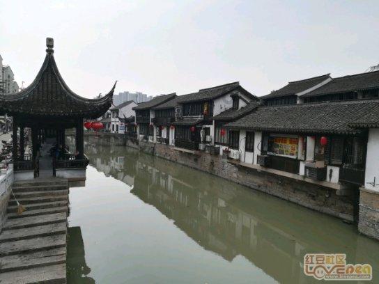 探索司马南:茅台政治生态研究,满足您的知识需求